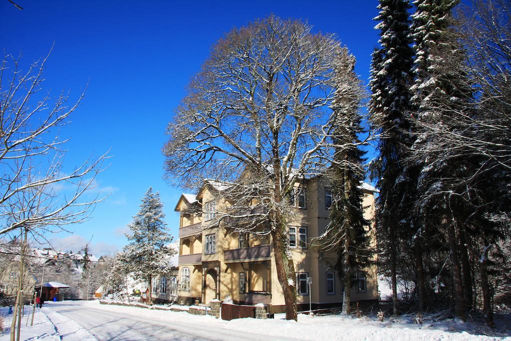 Pension Villa Kassandra Altenau  Kültér fotó