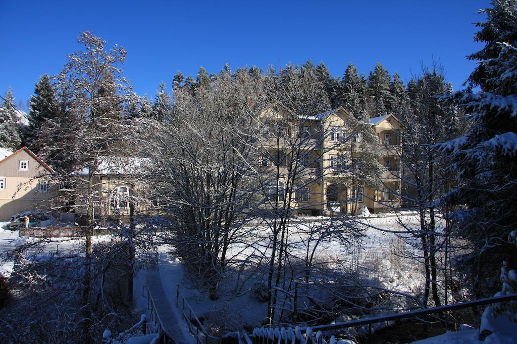 Pension Villa Kassandra Altenau  Kültér fotó